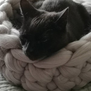 Petra added a photo of their purchase