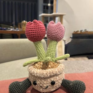 Yvette added a photo of their purchase