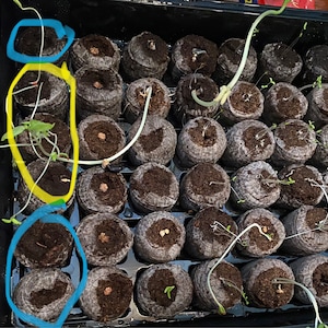 Comprador de Etsy ha añadido una foto de su compra