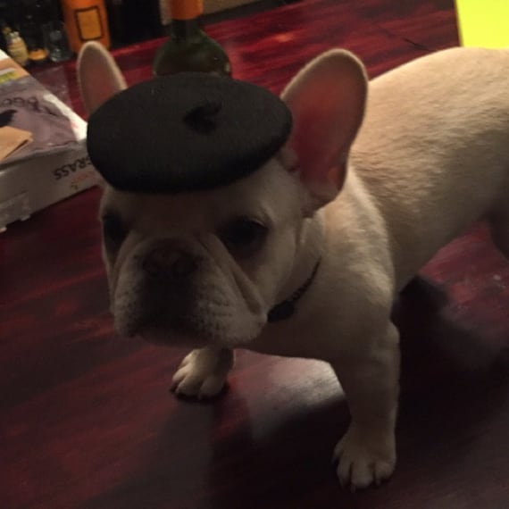 Customer photo of a pet with the Beret Personalized for small pet Raspberry