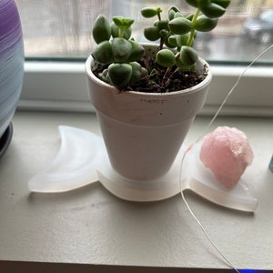 Jessalynn added a photo of their purchase