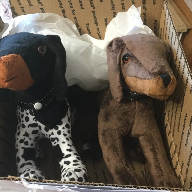 FouFit Hide 'N Seek Aussie Plush Platypus – Happy Hounds Pet Supply