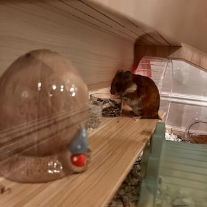 anna ha aggiunto una foto del proprio acquisto