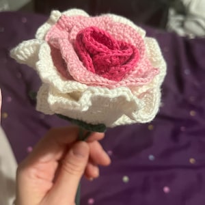 Annie added a photo of their purchase