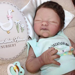 Baby Announcement Sign, Custom Birth Stats Sig, Coquette Goose Hospital Name Sign, Nursery Decor, Floral Baby Wooden Sign, Baby Shower Decor