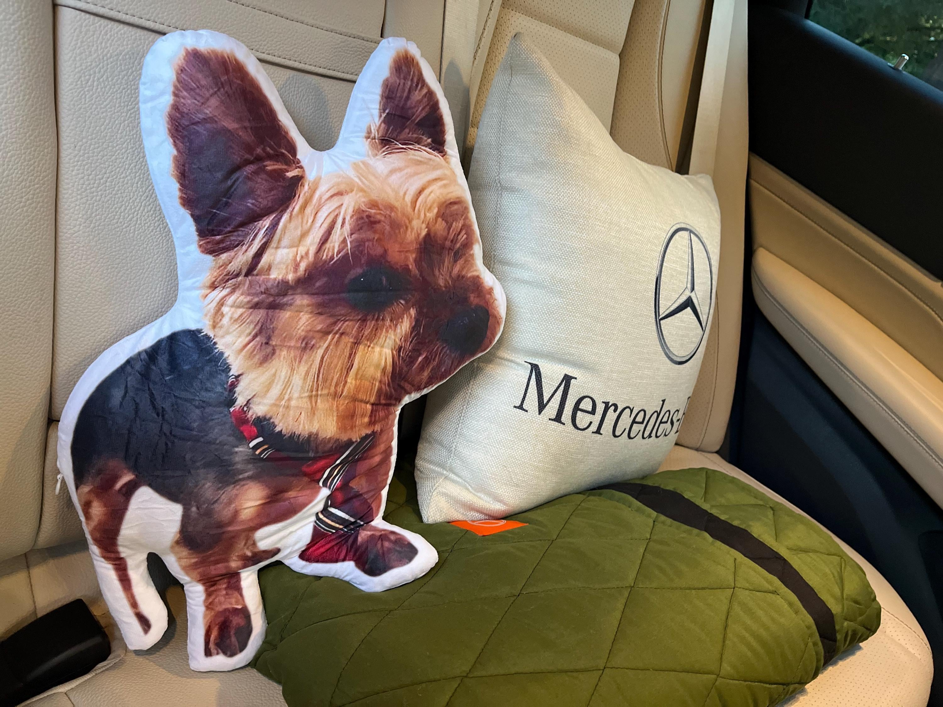 Custom Pet Pillow | Personalized Pillow | Pet Memorial Gift | Custom shaped pillow | Dog Pillow | Cat Pillow | Pet Lover Gift