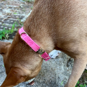 Lisa added a photo of their purchase