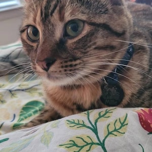 Ashley added a photo of their purchase