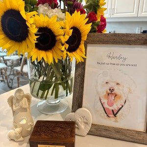 Olivia added a photo of their purchase