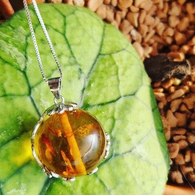 Collier Ambre Femme Pendentif En Argent Sterling 925 Avec Ambre De La Baltique Cognac, Chaîne Serpent Marquise, 16-26 Pouces, Bijoux Dans Une Boîte Cadeau - France Pendentif Ambre