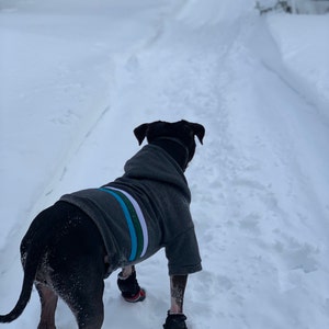 joelle added a photo of their purchase