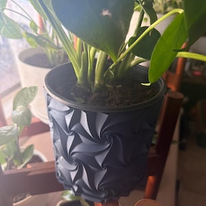 PILAR added a photo of their purchase