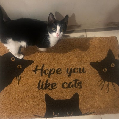 Welcome - Hope You Like Cats Doormat
