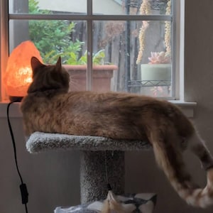 Marty ha añadido una foto de su compra