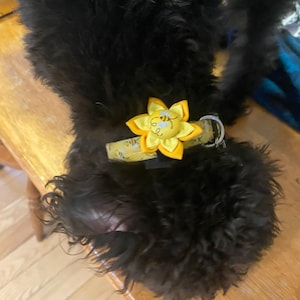 Lisa added a photo of their purchase