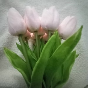 Pam added a photo of their purchase