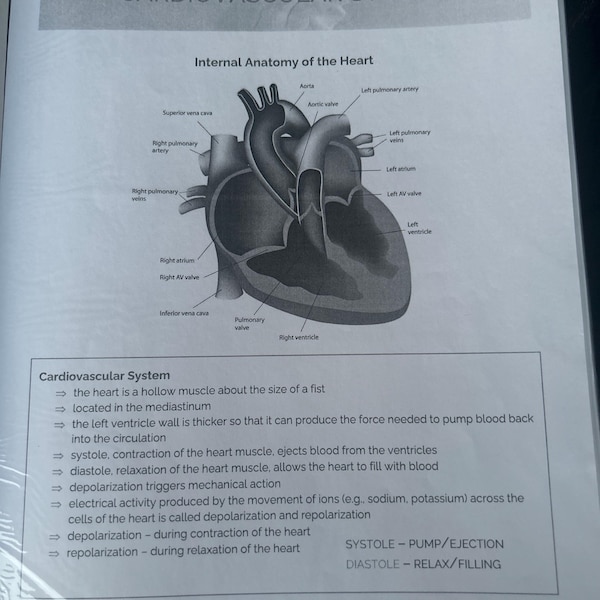 Cardiac Bundle Study Guide for Med Surg | Including Pharmacology and ...