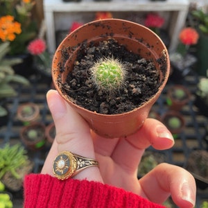 Tori added a photo of their purchase