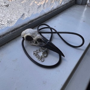 Kirralee lade till en bild av sitt köp