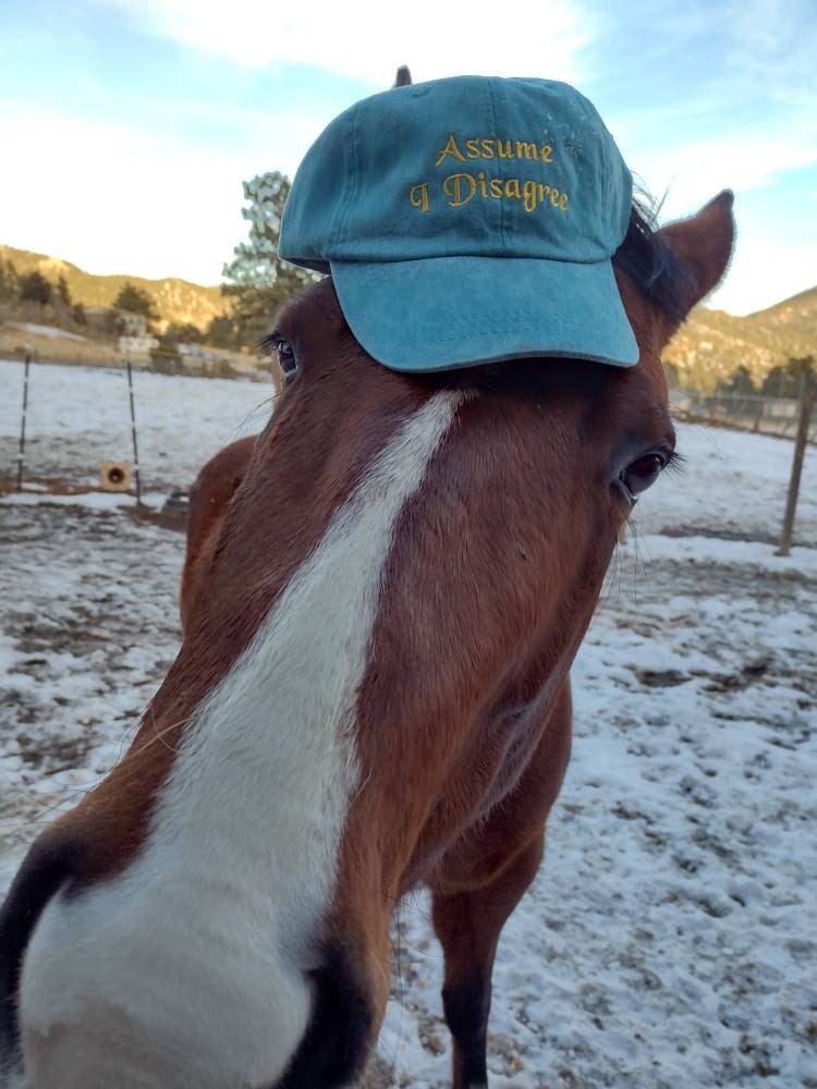 Custom Dyed baseball Hats, monogrammed, embroidered hats, distressed, sports cap, personalized Hats, logo monogram hat