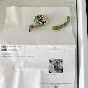 Hanna ha añadido una foto de su compra