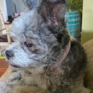 Jessica ha añadido una foto de su compra