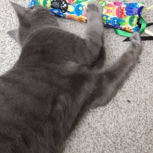Elizabeth added a photo of their purchase