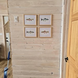 Andie さんが購入した商品の写真を追加しました