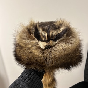 Thomas added a photo of their purchase