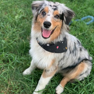 Dakota ha añadido una foto de su compra