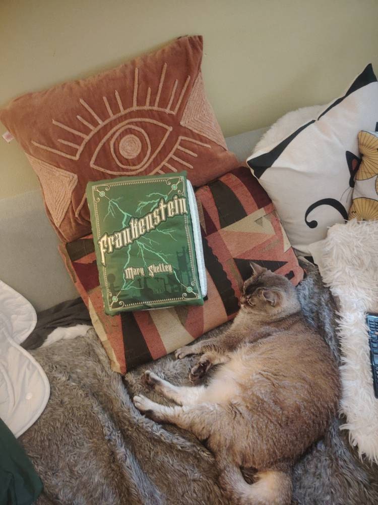 Frankenstein Pillow Book