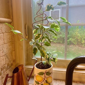Deborah added a photo of their purchase