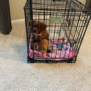 Raeanne added a photo of their purchase