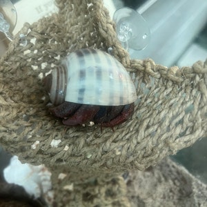 Liz added a photo of their purchase