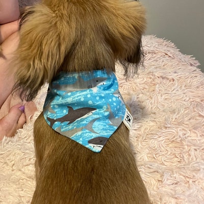 easter dog bow tie collar