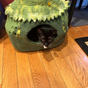 Nancy added a photo of their purchase