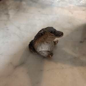 Amelia added a photo of their purchase