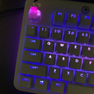 Zaccyboy adicionaram uma foto da sua compra