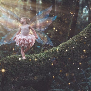 11 Fairy Wings PNG OVERLAYS SET 1, Including a Tinker Bell Wing ...