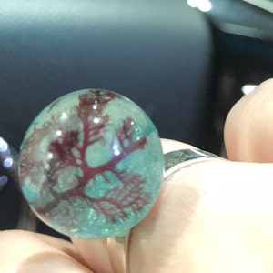 Rachel adicionaram uma foto da sua compra