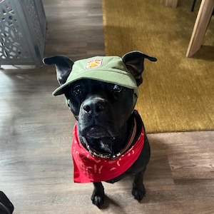 Chris added a photo of their purchase