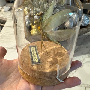 Ashley added a photo of their purchase