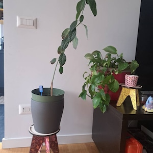 Federica added a photo of their purchase