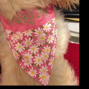 Alice added a photo of their purchase