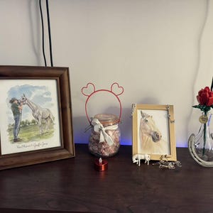 Jen added a photo of their purchase