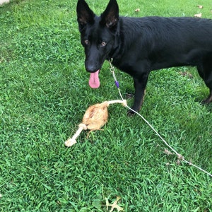 Stephanie added a photo of their purchase