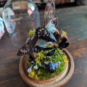 Winnie added a photo of their purchase