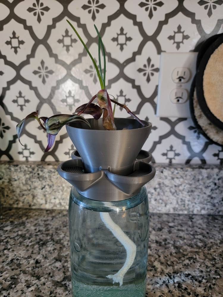 Self-Watering Mason Jar Planter – Indoor Herb Gardening – Low-Maintenance, Hydroponic-Inspired Growing System