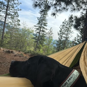 Kalanna hat ein Foto des gekauften Artikels hinzugefügt