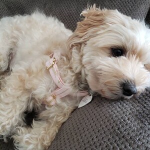 Evie a ajouté une photo de son achat